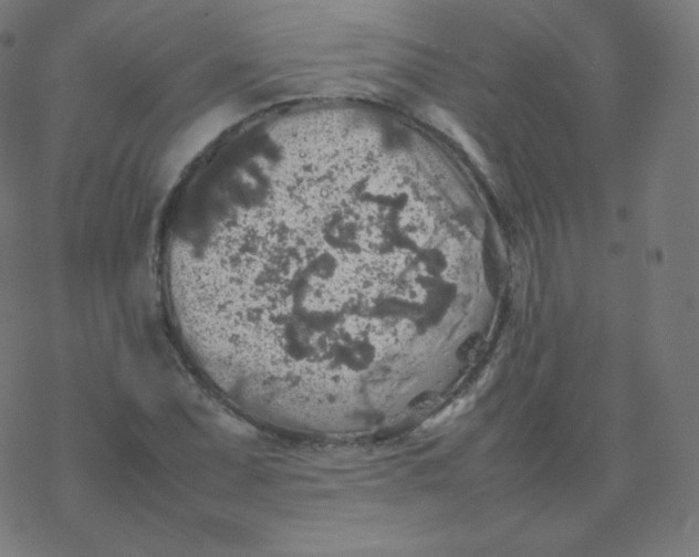 X0000077381071200611031931