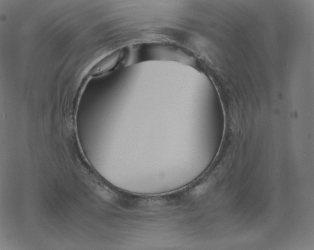 X0000077381073200611031930