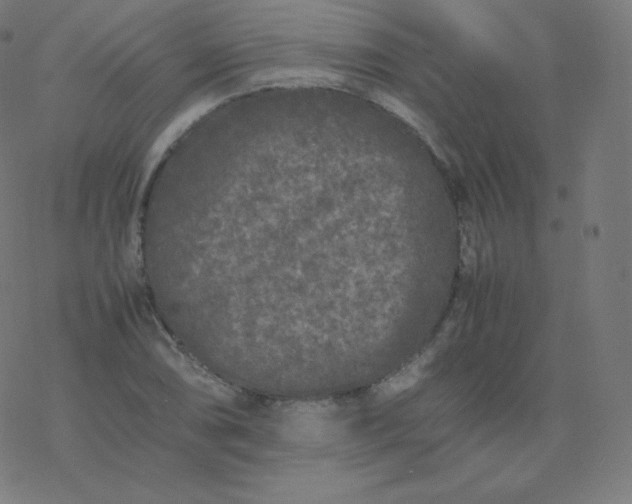 X0000077381074200611031930