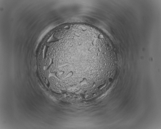 X0000077381075200611031930