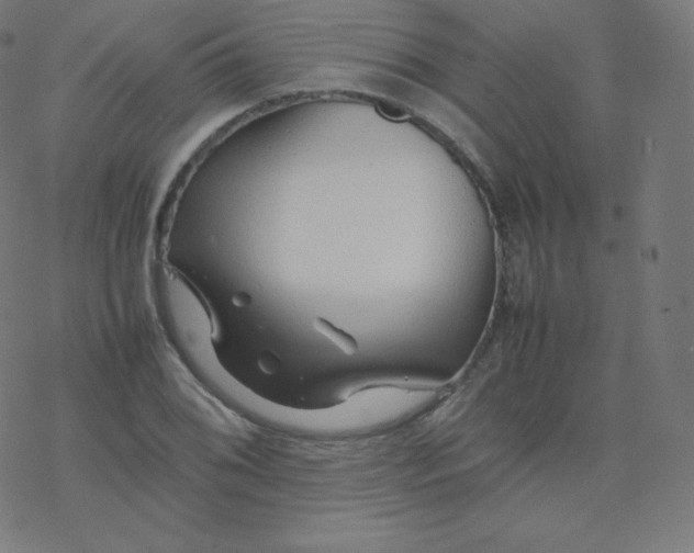 X0000077381076200611031930