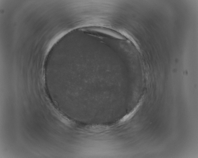 X0000077381077200611031930