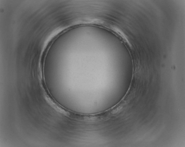 X0000077381080200611031930