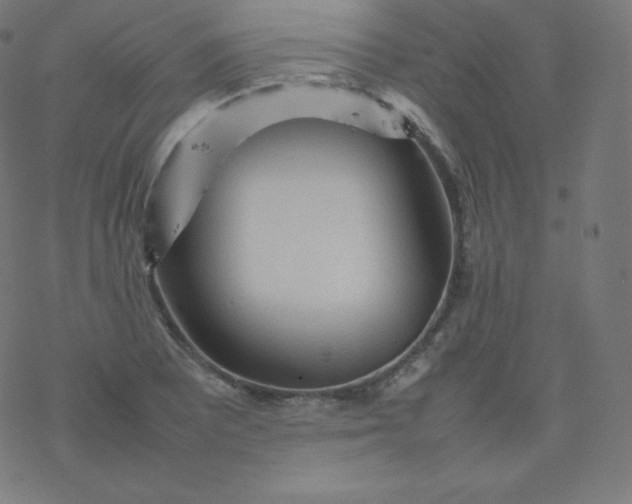 X0000077381081200611031930