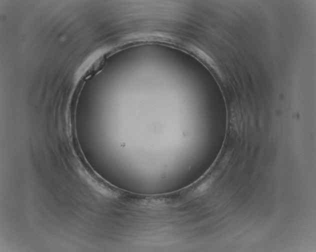 X0000077381082200611031930