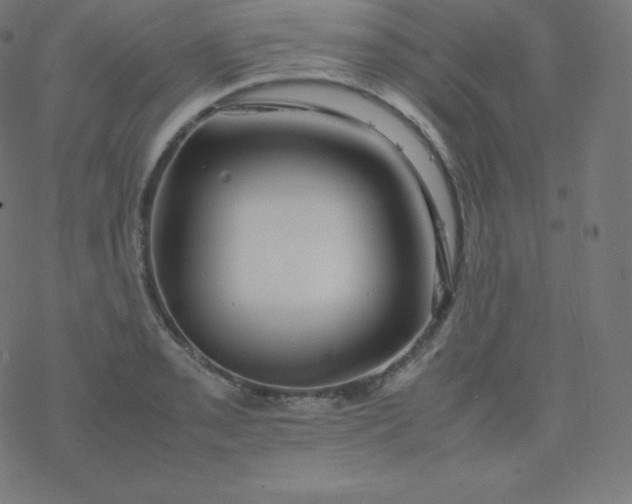 X0000077381085200611031930