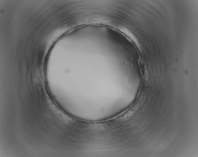 X0000077381088200611031930