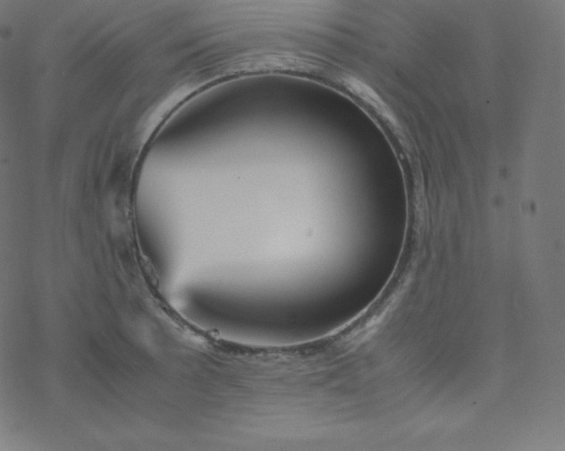 X0000077381089200611031930