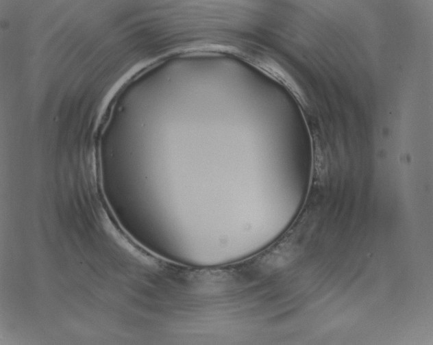 X0000077381092200611031930