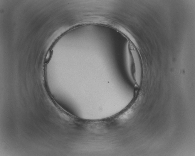 X0000077381093200611031930