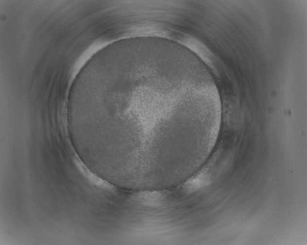 X0000077381094200611031930