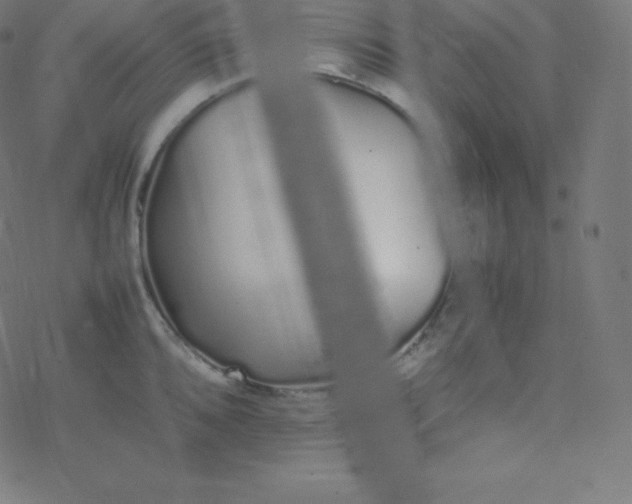 X0000077381096200611031930