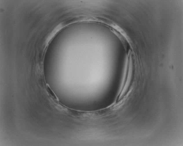 X0000077381097200611031930