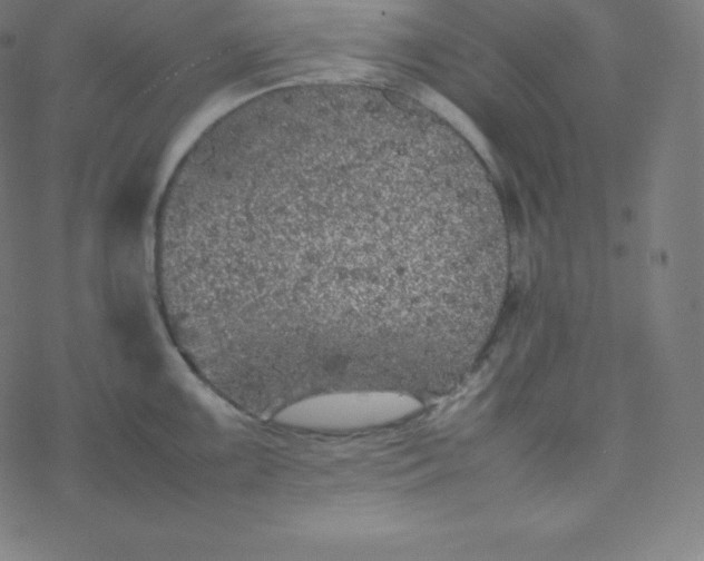 X0000077381099200611031930