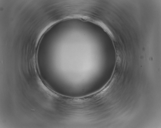 X0000077381100200611031930