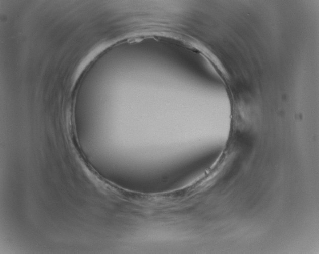 X0000077381101200611031930