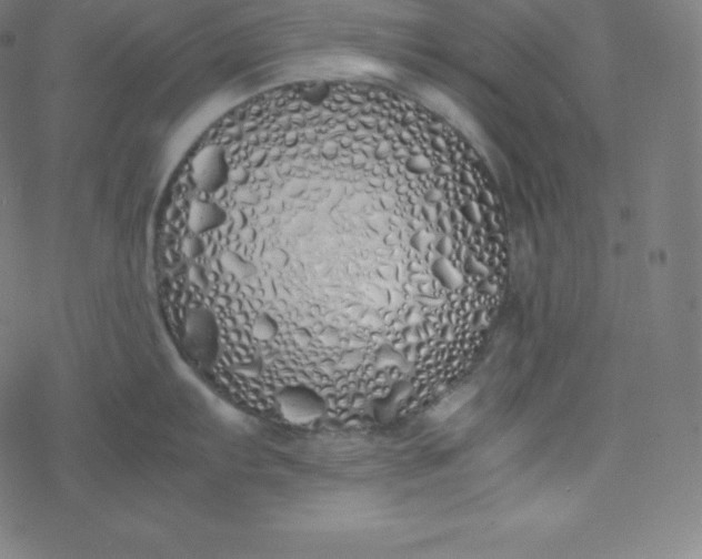 X0000077381103200611031930