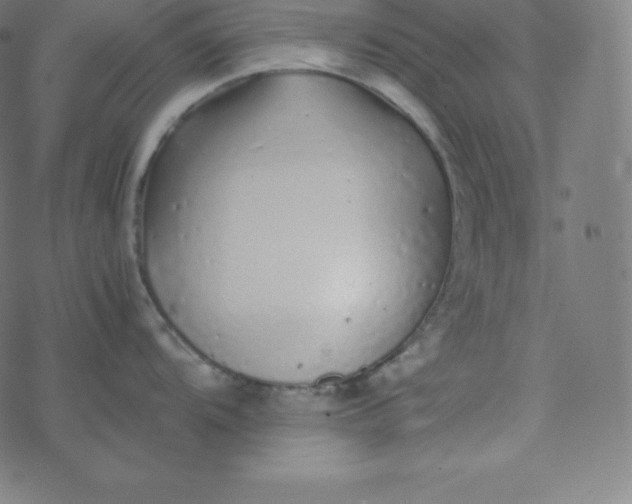 X0000077381104200611031930