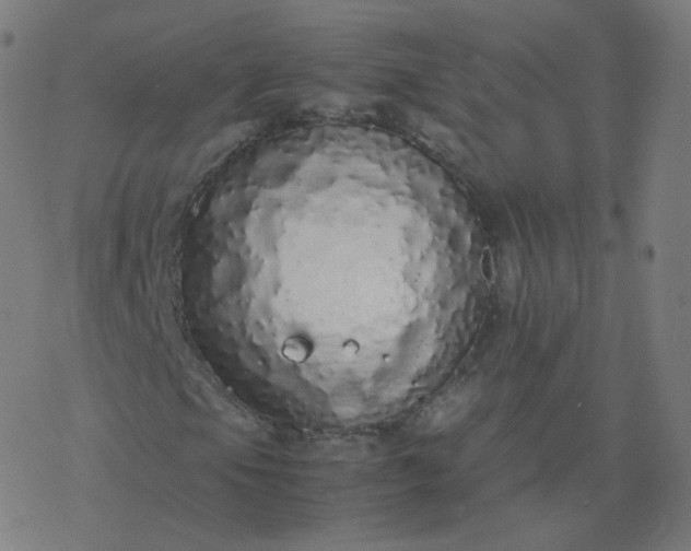 X0000077381105200611031929