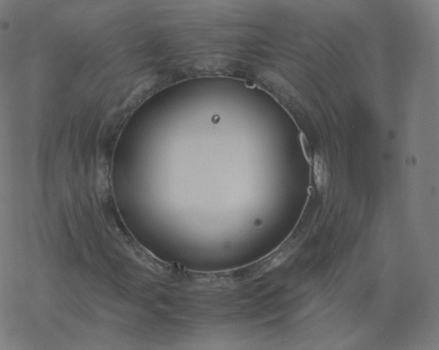 X0000077381107200611031929