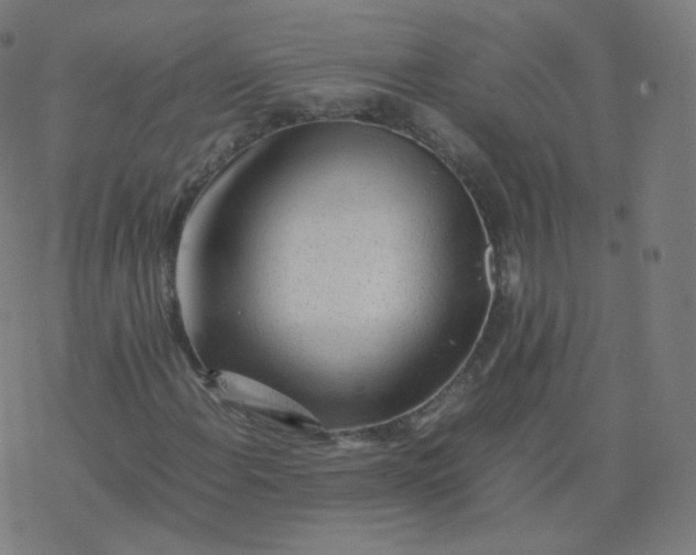 X0000077381108200611031929