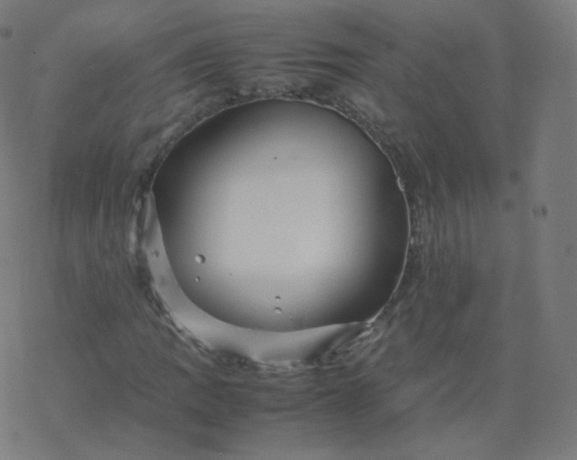 X0000077381109200611031929