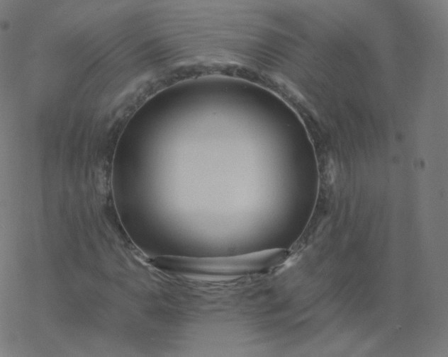 X0000077381110200611031929