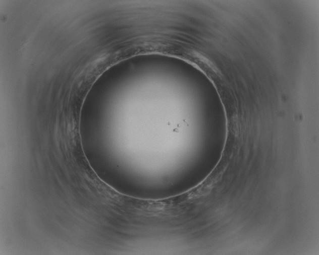 X0000077381111200611031929