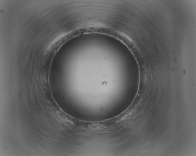 X0000077381112200611031929