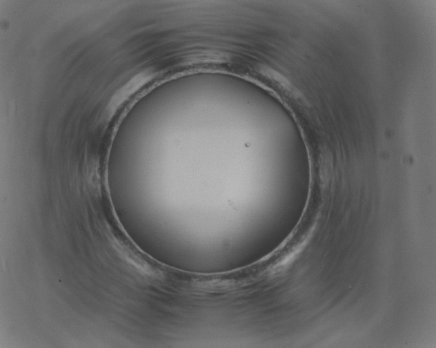 X0000077381113200611031929