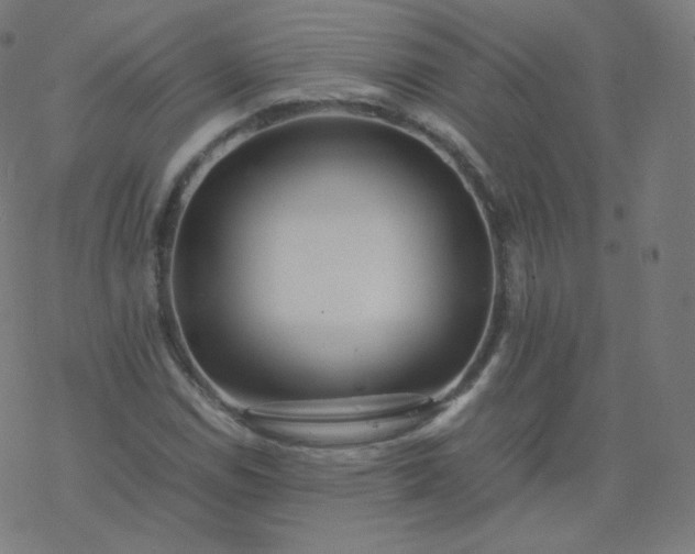 X0000077381114200611031929