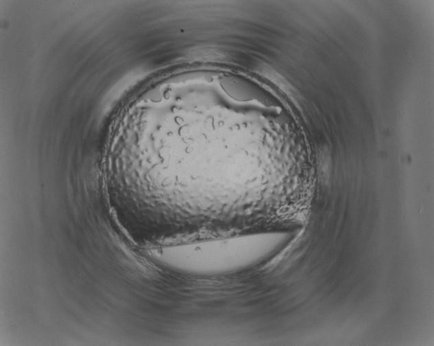 X0000077381115200611031929