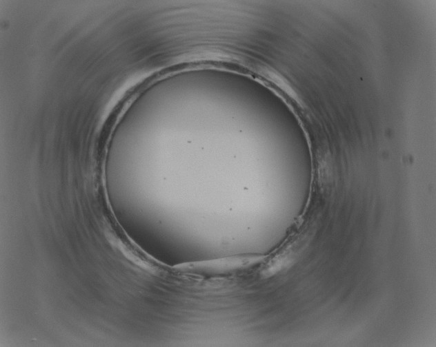 X0000077381116200611031929