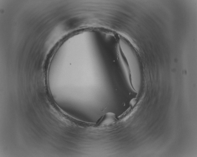 X0000077381118200611031929