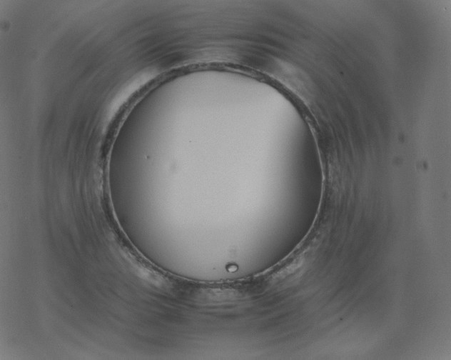 X0000077381119200611031929