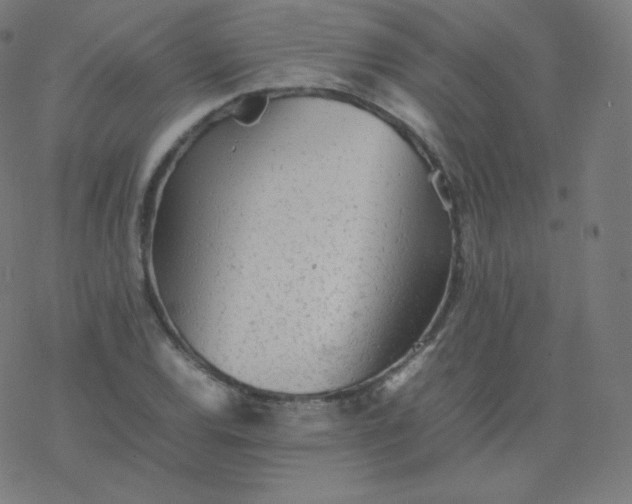 X0000077381120200611031929