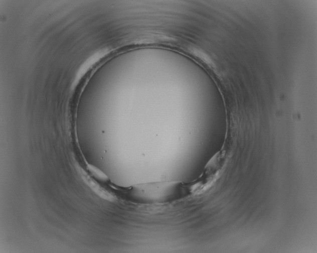 X0000077381122200611031929