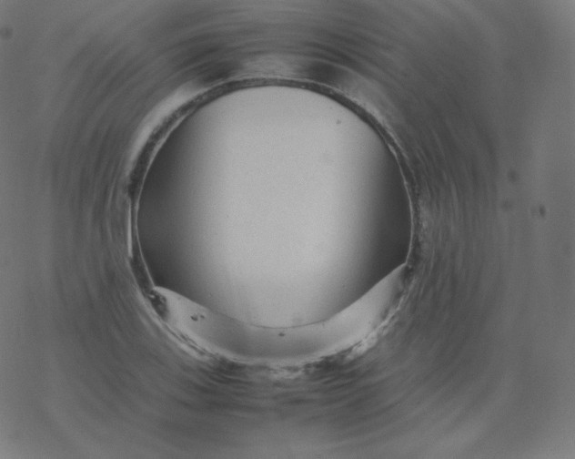 X0000077381123200611031929