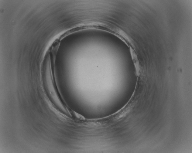 X0000077381124200611031930