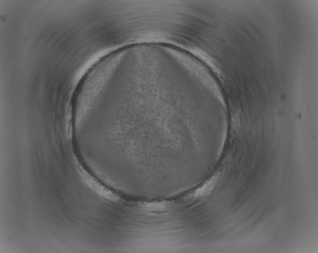 X0000077381126200611031930