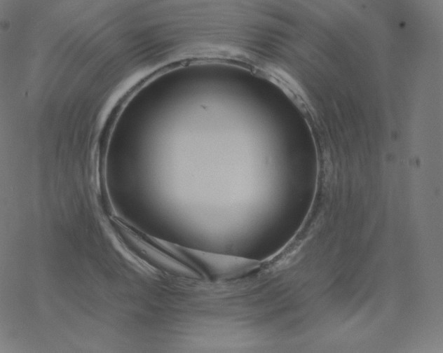 X0000077381128200611031930