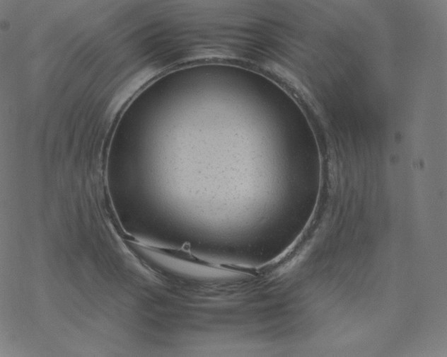 X0000077381129200611031930