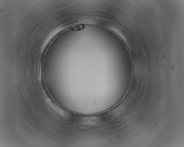 X0000077381131200611031930