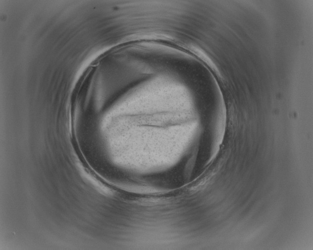 X0000077381132200611031930