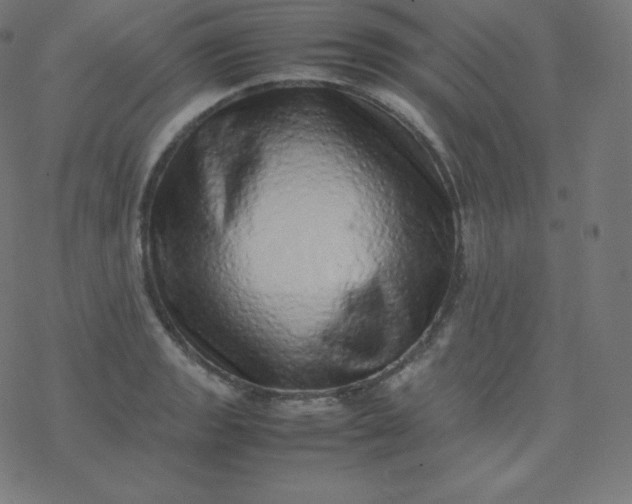 X0000077381133200611031930