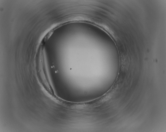 X0000077381134200611031930