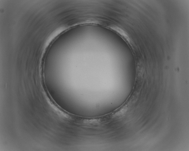 X0000077381135200611031930