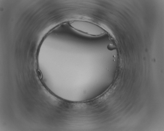 X0000077381136200611031930