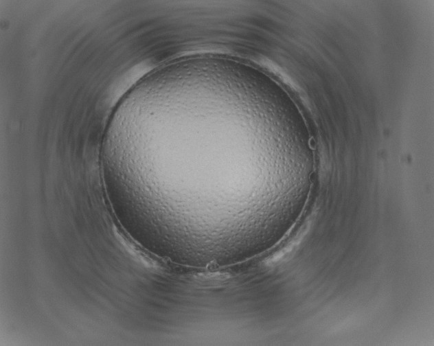 X0000077381137200611031930