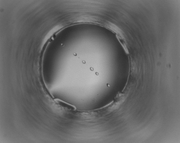 X0000077381138200611031930